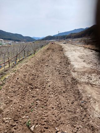 알 수 없음님의 자유주제 · 자유게시판 작성글 사진