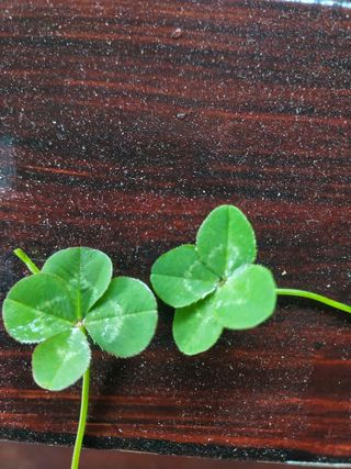 권오식님의 일손 구하셨나요? · 참여글 작성글 사진