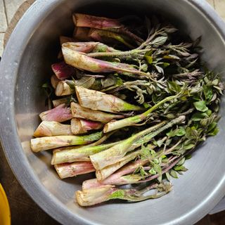 강옥만님의 작성글 사진