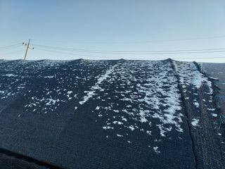 태일농산이정수님의 자유주제 · 자유게시판 작성글 사진