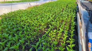 여우내 이순홍님의 자유주제 · 자유게시판 작성글 사진