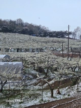 장현경님의 자유주제 · 자유게시판 작성글 사진