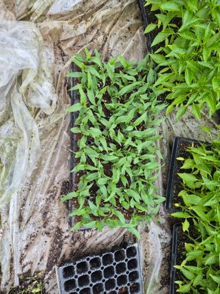 박무순님의 자유주제 · 자유게시판 작성글 사진