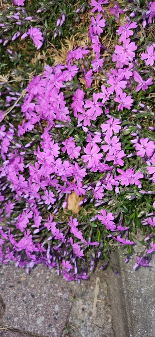 하은와송~♡♡♡~님의 자유주제 · 자유게시판 작성글 사진