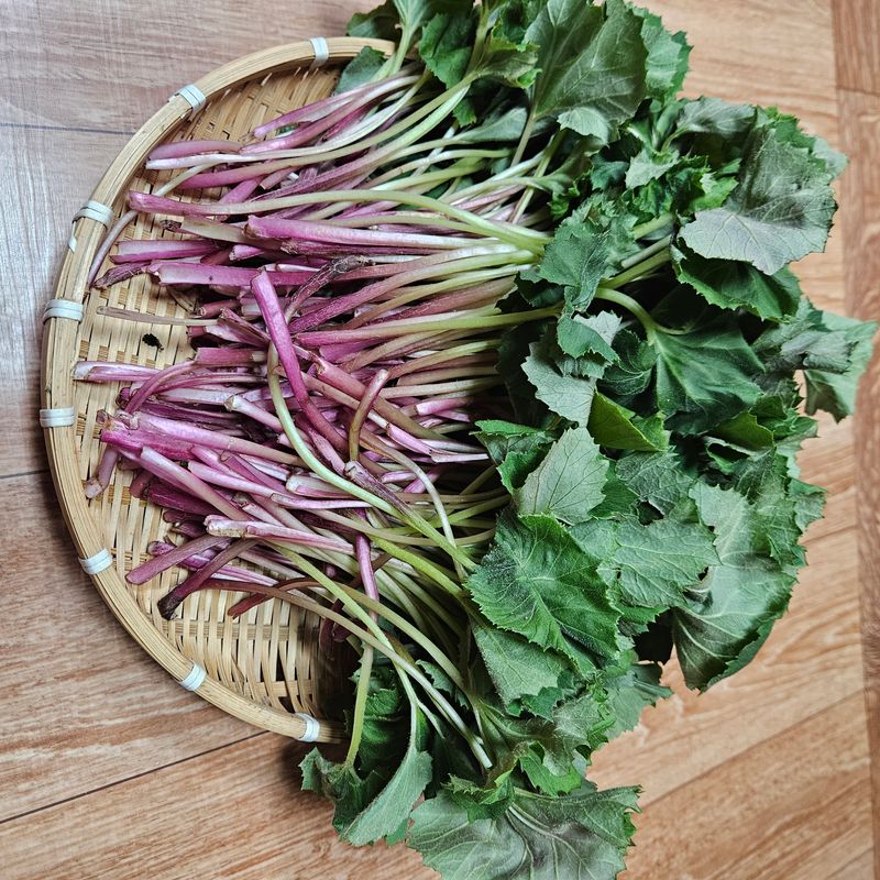 장터 상품 [노지자연산머위나물 1kg] 썸네일