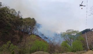 혁이네농원님의 자유주제 · 자유게시판 작성글 사진