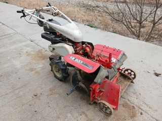 알 수 없음님의 자유주제 · 자유게시판 작성글 사진