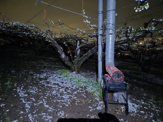 형설농원 정순정님의 자유주제 · 자유게시판 작성글 사진