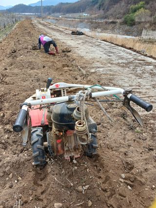 알 수 없음님의 자유주제 · 자유게시판 작성글 사진