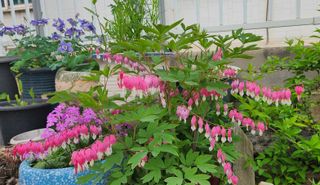 하은와송~♡♡♡~님의 자유주제 · 자유게시판 작성글 사진