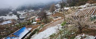 동동이님의 자유주제 · 건의해요 작성글 사진