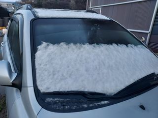 태일농산이정수님의 자유주제 · 자유게시판 작성글 사진