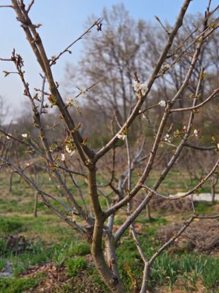 박정희 님의 자유주제 · 자유게시판 작성글 사진