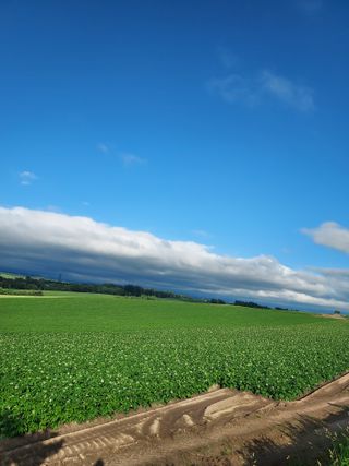 권오식님의 일손 구하셨나요? · 참여글 작성글 사진