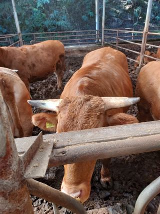 권오식님의 일손 구하셨나요? · 참여글 작성글 사진