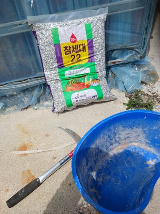 알 수 없음님의 자유주제 · 자유게시판 작성글 사진