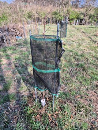 왕대추님의 자유주제 · 자유게시판 작성글 사진