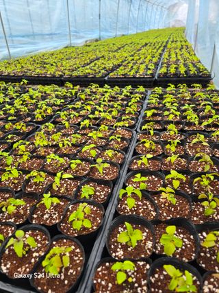 약초원 김종군님의 자유주제 · 자유게시판 작성글 사진