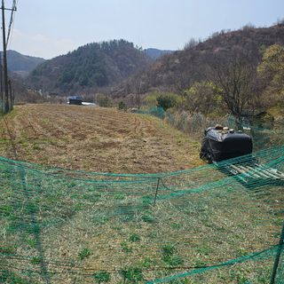 이병남님의 일손 구하셨나요? · 참여글 작성글 사진