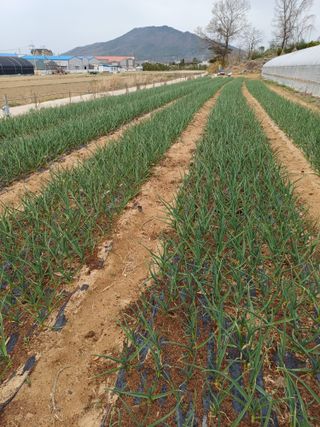 해아래님의 자유주제 · 사진전 작성글 사진