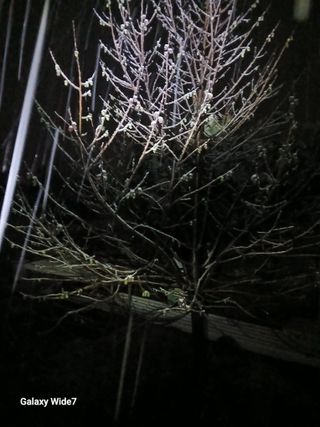 바위돌 심재성님의 자유주제 · 사진전 작성글 사진