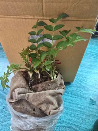 정태권님의 작성글 사진