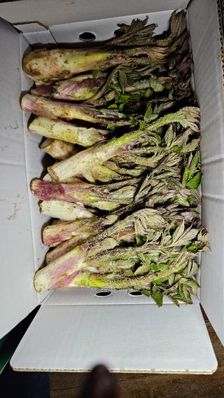 강옥만님의 작성글 사진