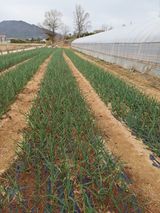 팜모닝 자유주제·사진전 게시글 이미지