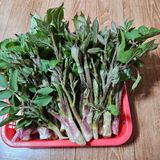 팜모닝 · 게시글 이미지