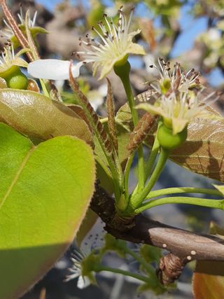 하나라도 소중하게님의 배 · 일상 작성글 사진