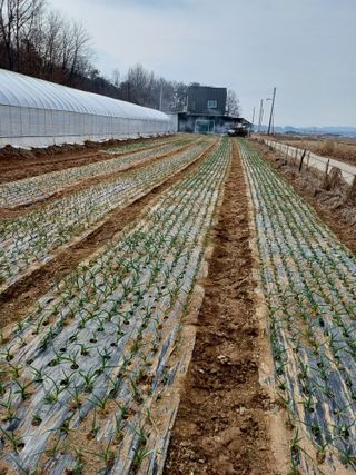 해아래님의 자유주제 · 사진전 작성글 사진