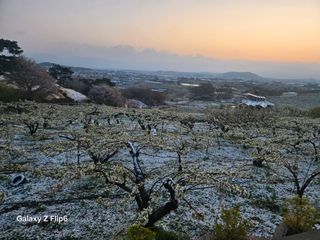 장현경님의 자유주제 · 자유게시판 작성글 사진