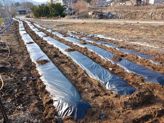 알 수 없음님의 자유주제 · 자유게시판 작성글 사진