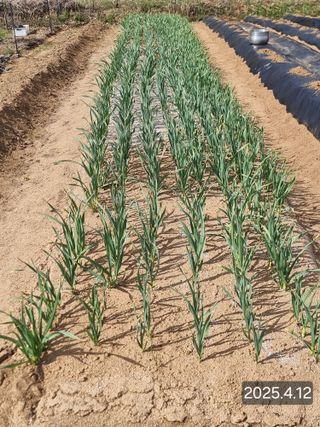 정석범님의 자유주제 · 자유게시판 작성글 사진