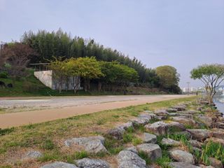 울금박사/빈덕열목사님의 자유주제 · 자유게시판 작성글 사진