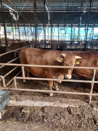 권오식님의 일손 구하셨나요? · 참여글 작성글 사진