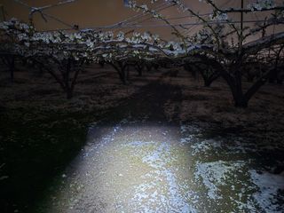 형설농원 정순정님의 자유주제 · 자유게시판 작성글 사진