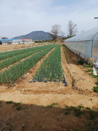 해아래님의 자유주제 · 사진전 작성글 사진