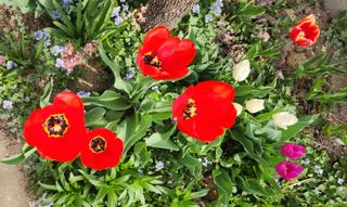 하은와송~♡♡♡~님의 자유주제 · 자유게시판 작성글 사진