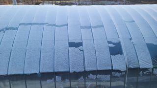 여우내 이순홍님의 자유주제 · 자유게시판 작성글 사진