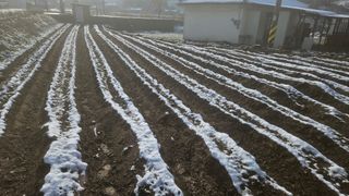 김주삼님의 자유주제 · 자유게시판 작성글 사진