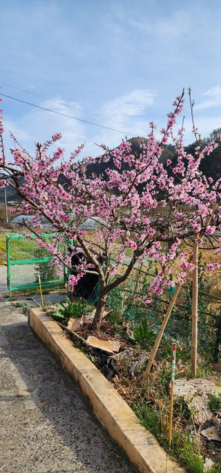 안뜰그랑님의 자유주제 · 자유게시판 작성글 사진