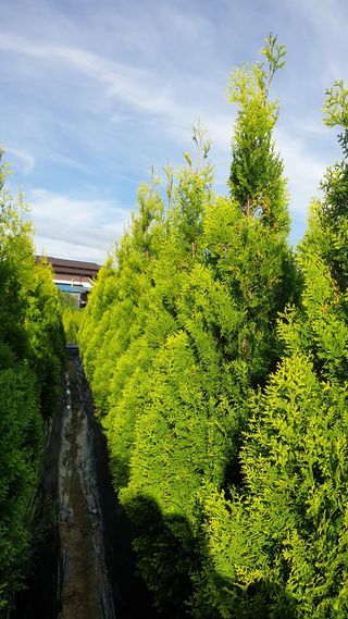 류대길님의 자유주제 · 자유게시판 작성글 사진