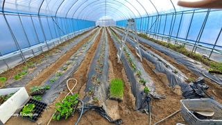 김덕겸님의 일손 구하셨나요? · 참여글 작성글 사진