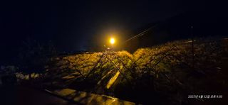 달맛햇복숭아농원님의 자유주제 · 사진전 작성글 사진