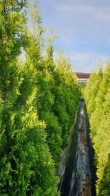 팜모닝 자유주제·자유게시판 게시글 이미지