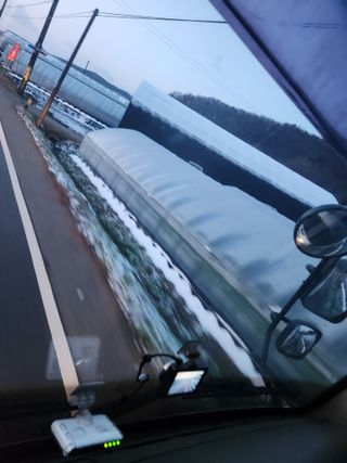 마늘감자고추들깨님의 자유주제 · 자유게시판 작성글 사진