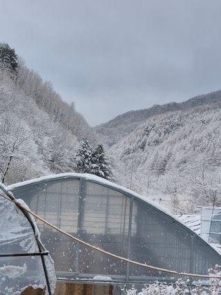 왕자농원님의 자유주제 · 자유게시판 작성글 사진