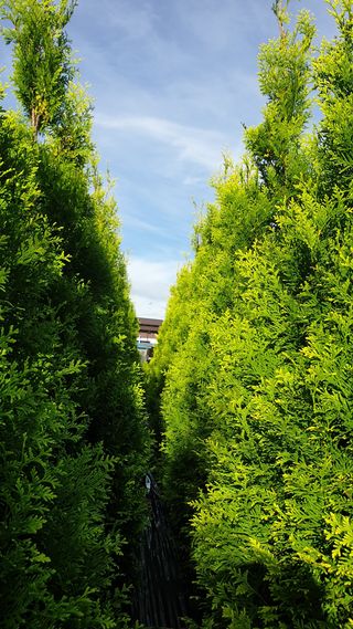 류대길님의 자유주제 · 자유게시판 작성글 사진