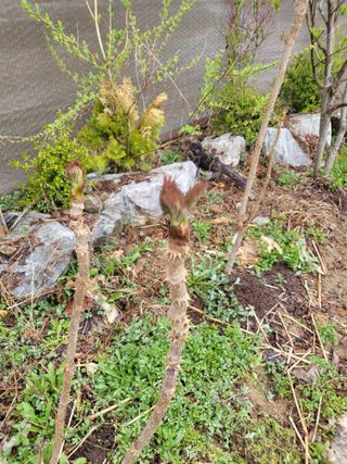 라이프님의 자유주제 · 자유게시판 작성글 사진